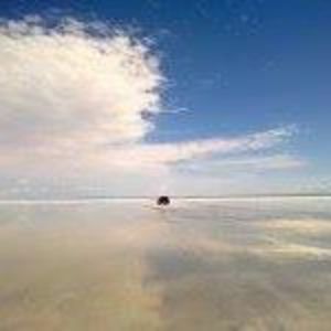 Meet your Posher, Liwen